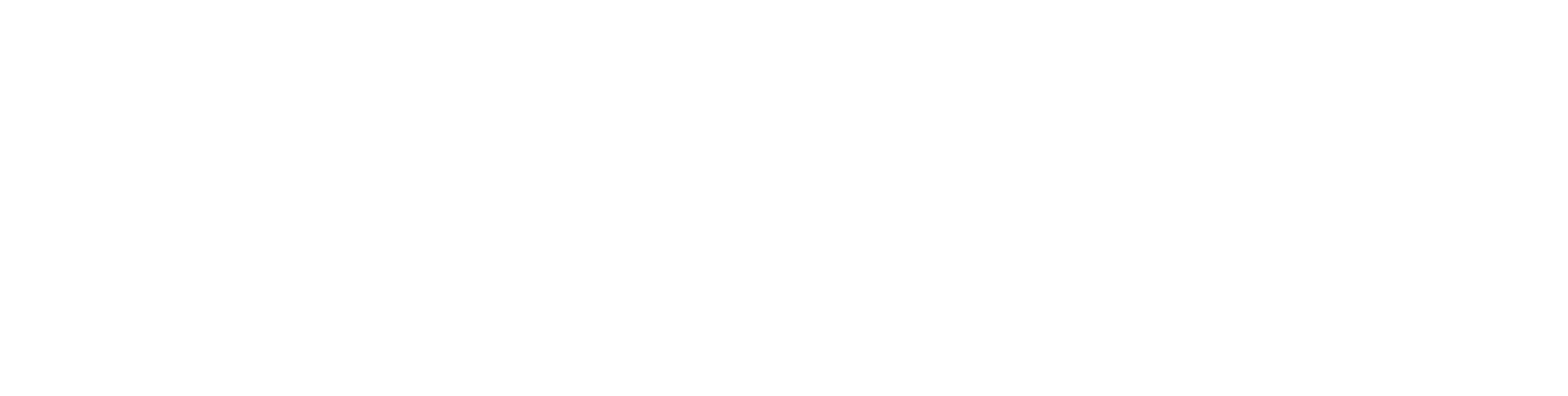 Xenon Energy